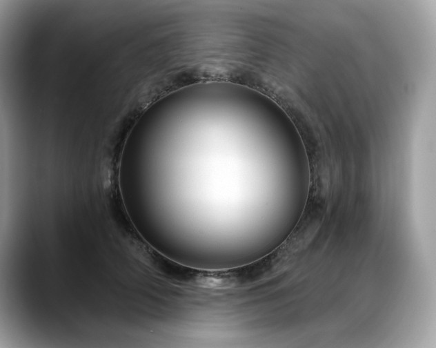 X0000088730706200705311429