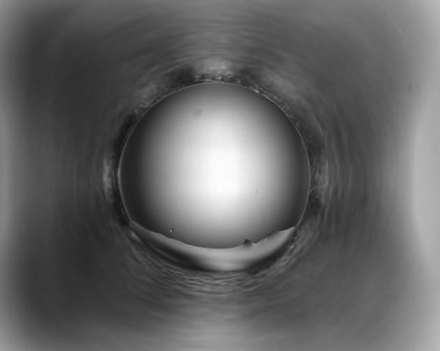 X0000088730708200705311429