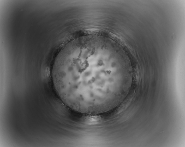 X0000088730711200705311429