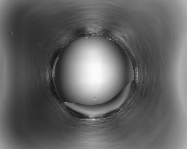 X0000088730712200705311429