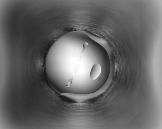 X0000088730714200705311429