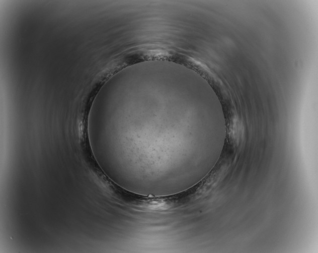 X0000088730715200705311429