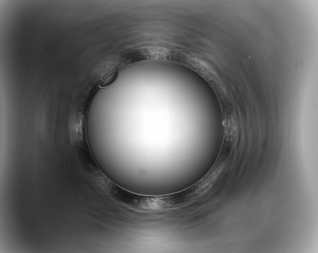 X0000088730717200705311429