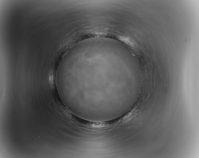 X0000088730720200705311429