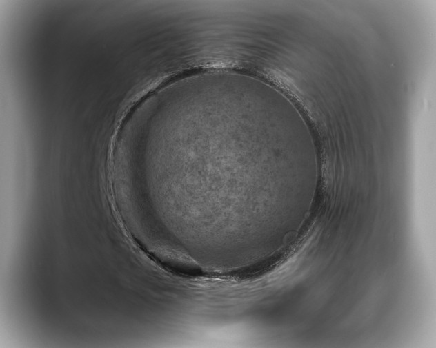 X0000088730721200705311428