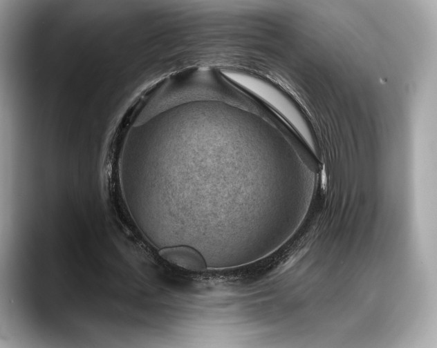 X0000088730723200705311428