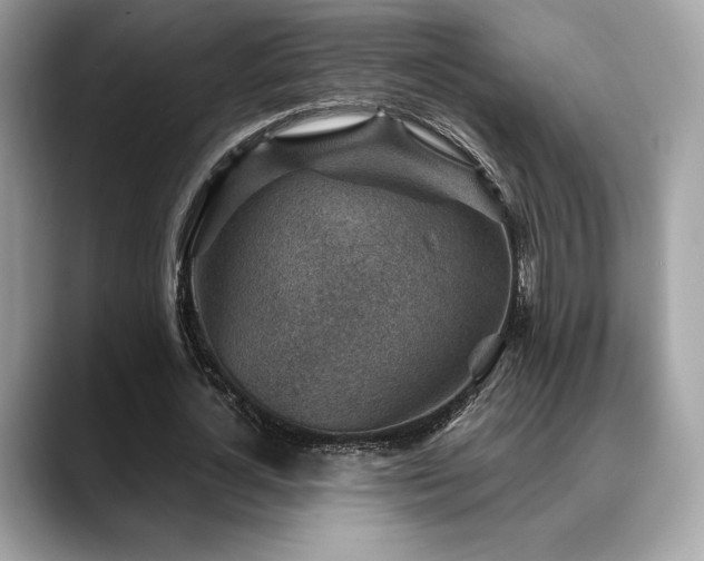 X0000088730724200705311428