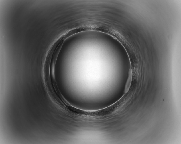 X0000088730726200705311428