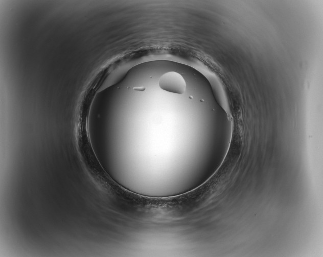 X0000088730728200705311428