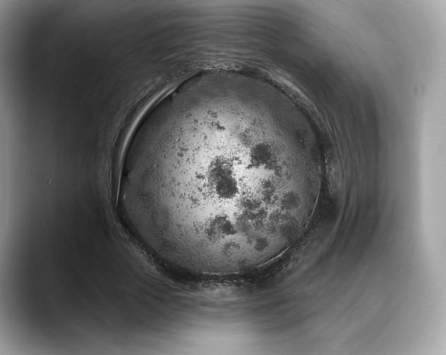 X0000088730729200705311428