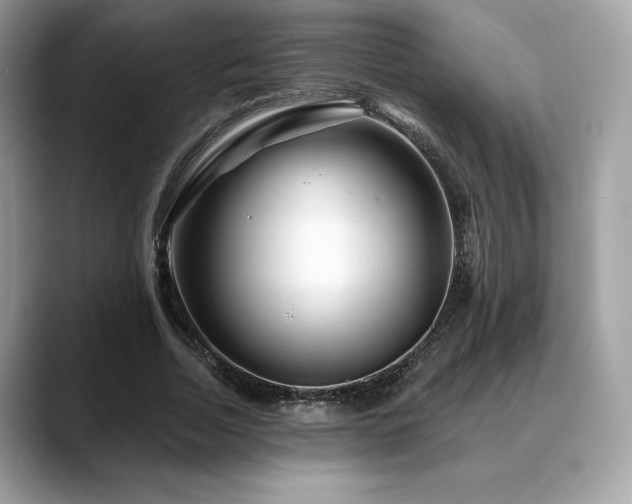 X0000088730730200705311428