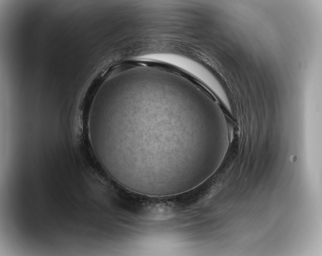 X0000088730731200705311428