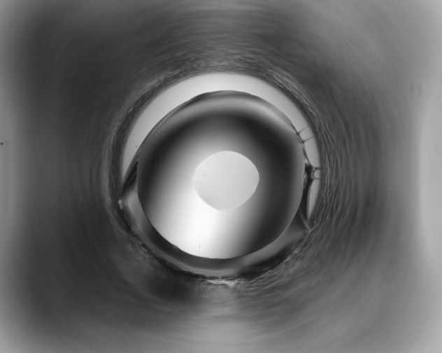 X0000088730732200705311428