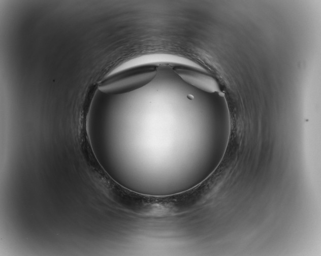 X0000088730737200705311428