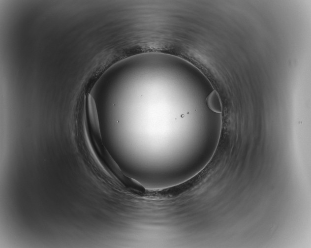 X0000088730738200705311428