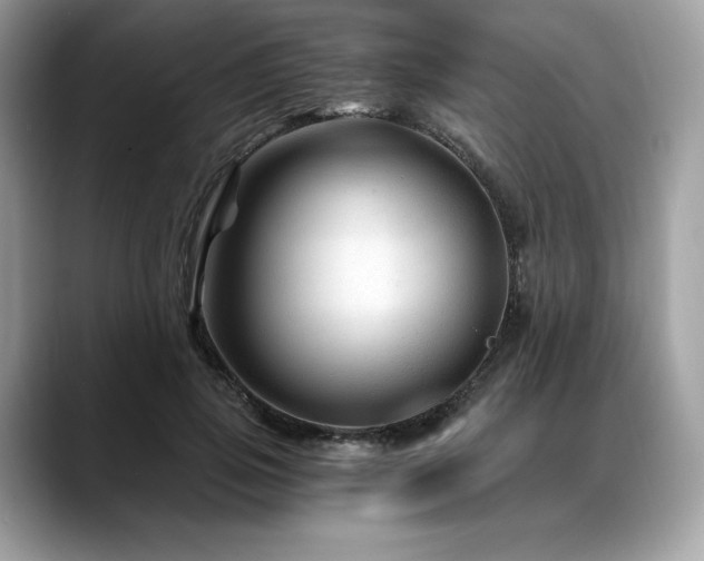 X0000088730741200705311428