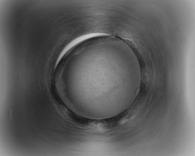 X0000088730742200705311428