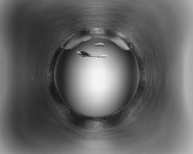 X0000088730743200705311428