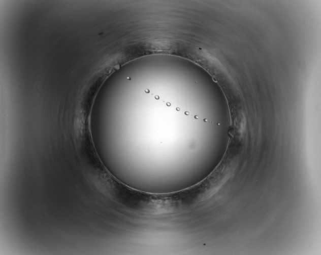 X0000088730744200705311428
