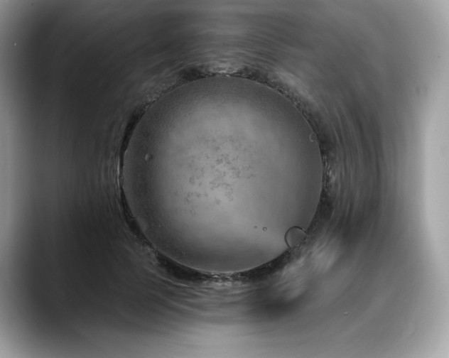 X0000088730745200705311428