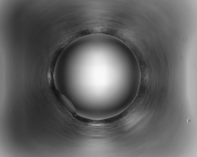 X0000088730746200705311428
