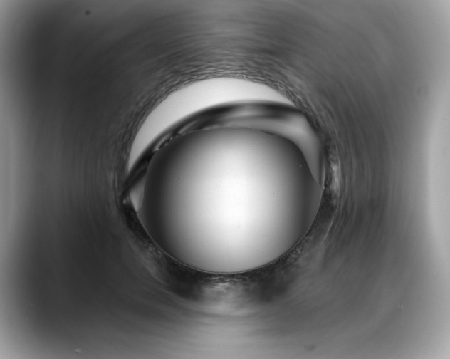 X0000088730750200705311428