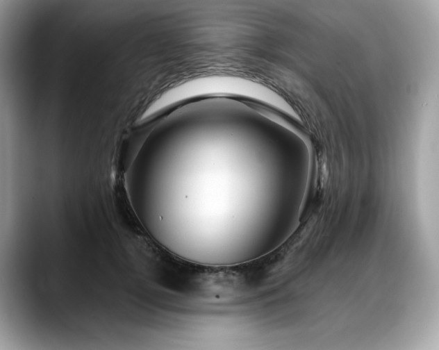 X0000088730752200705311428