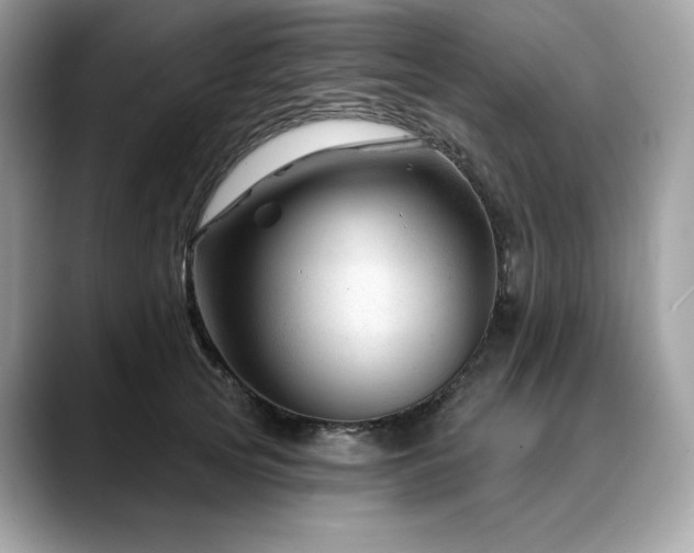 X0000088730753200705311428