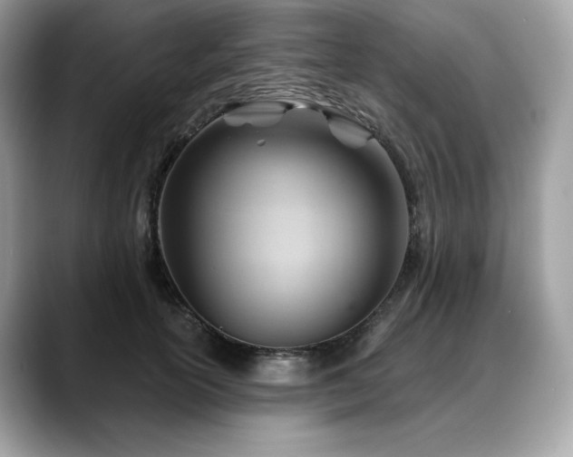 X0000088730754200705311428