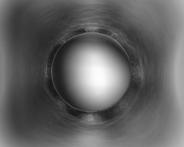 X0000088730755200705311428