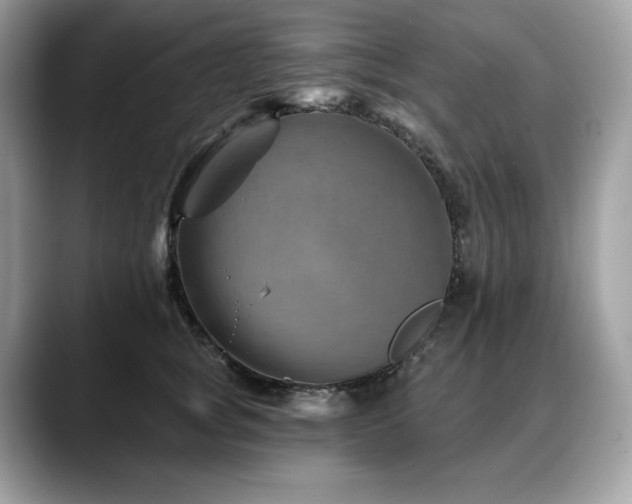 X0000088730757200705311428