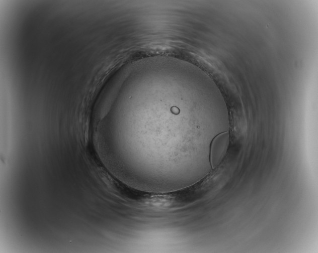 X0000088730758200705311429