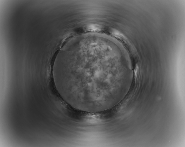 X0000088730760200705311429