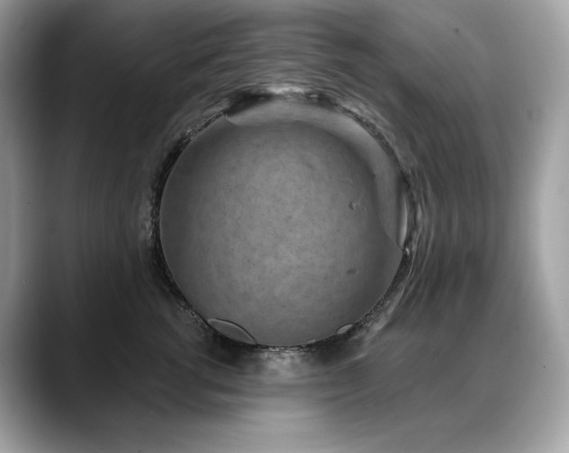 X0000088730762200705311429