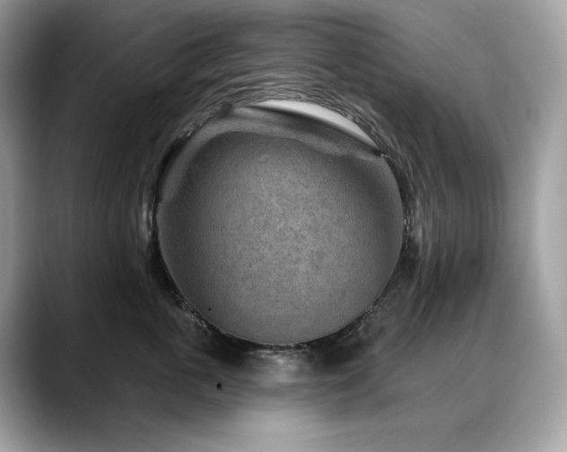 X0000088730763200705311429