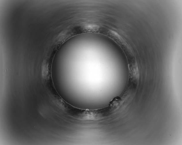 X0000088730764200705311429
