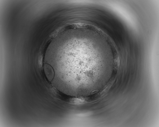 X0000088730765200705311429