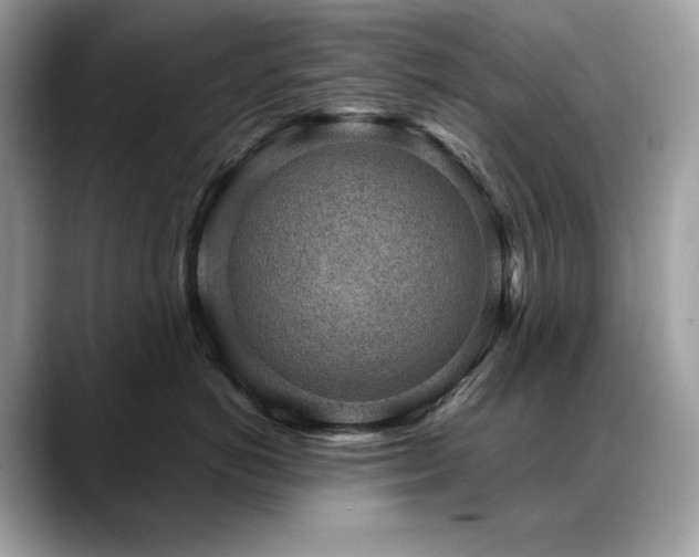 X0000088730766200705311429