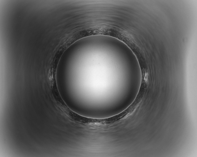 X0000088730771200705311428
