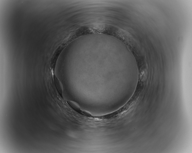 X0000088730772200705311428