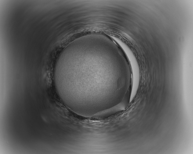 X0000088730774200705311428