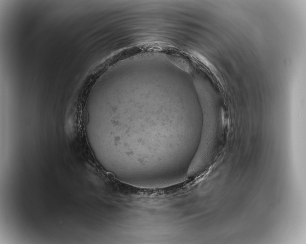 X0000088730775200705311428