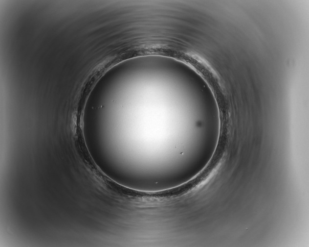 X0000088730777200705311428