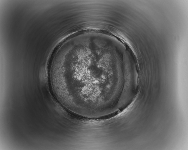 X0000088730779200705311428