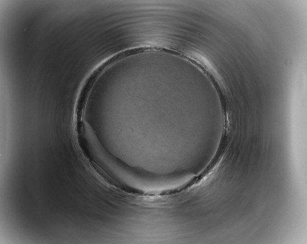 X0000088730780200705311428