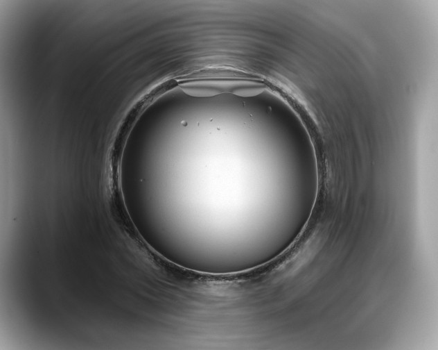 X0000088730782200705311428