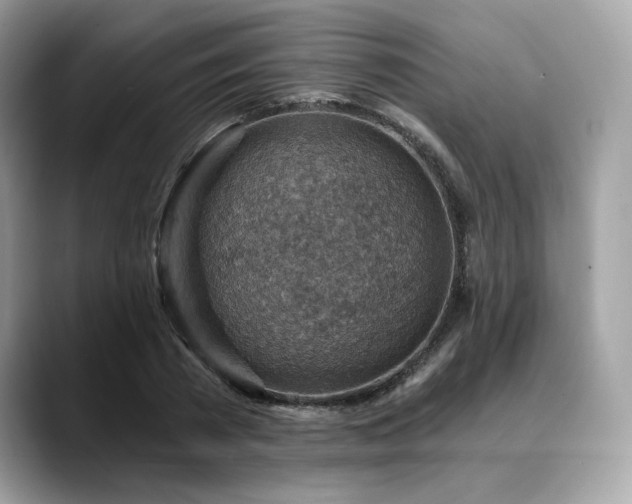X0000088730785200705311428
