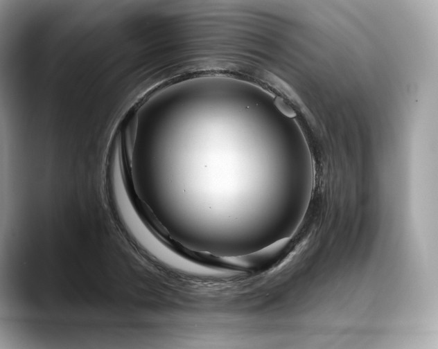 X0000088730786200705311428