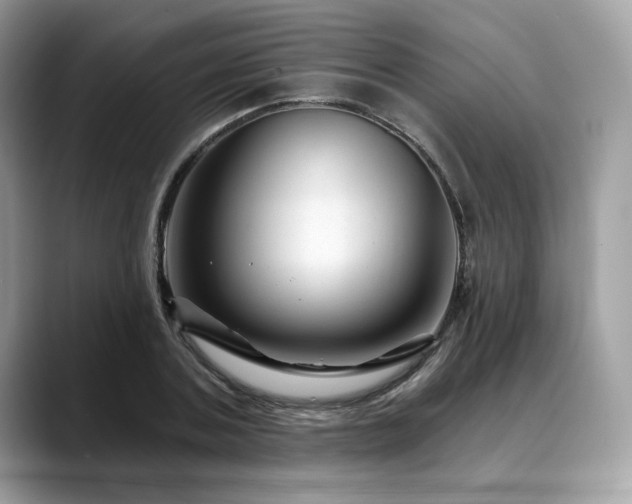 X0000088730787200705311428