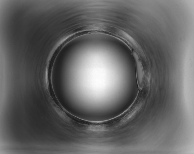 X0000088730788200705311428